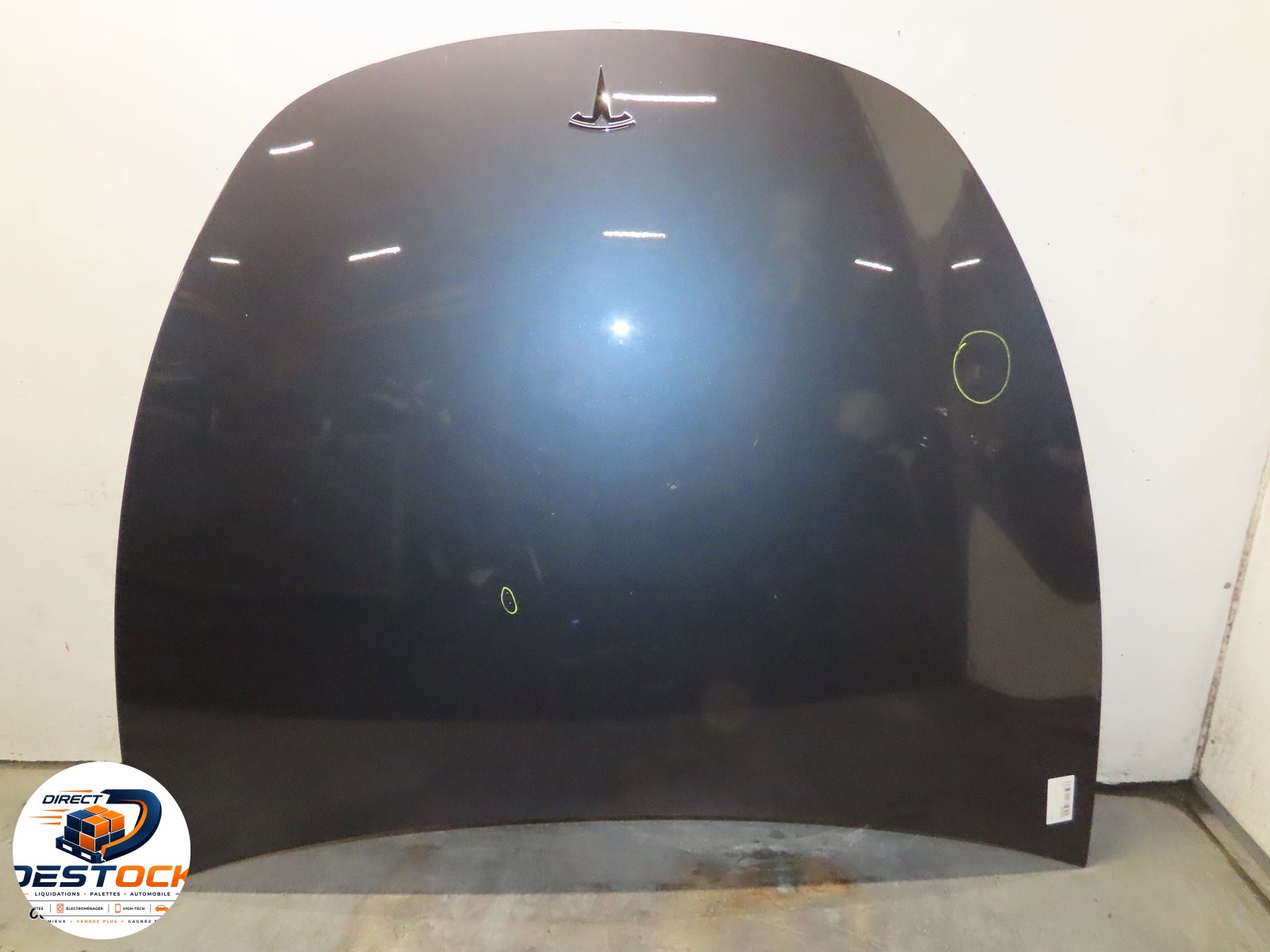Capot Tesla MODEL Y (5YJY) Ev (2019) occasion