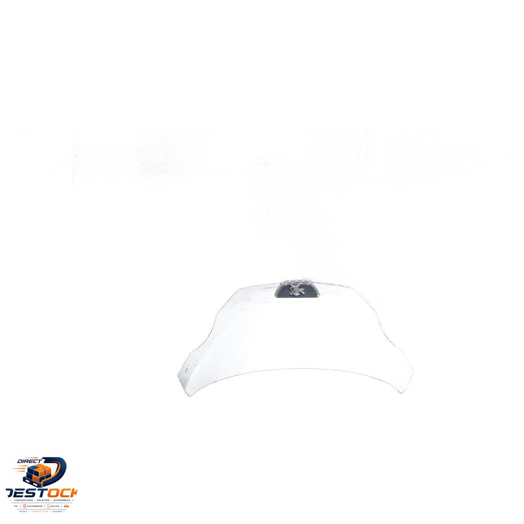 Capot Peugeot 107 (PM_, PN_) 1.0 (2005-2014) 3 portes occasion