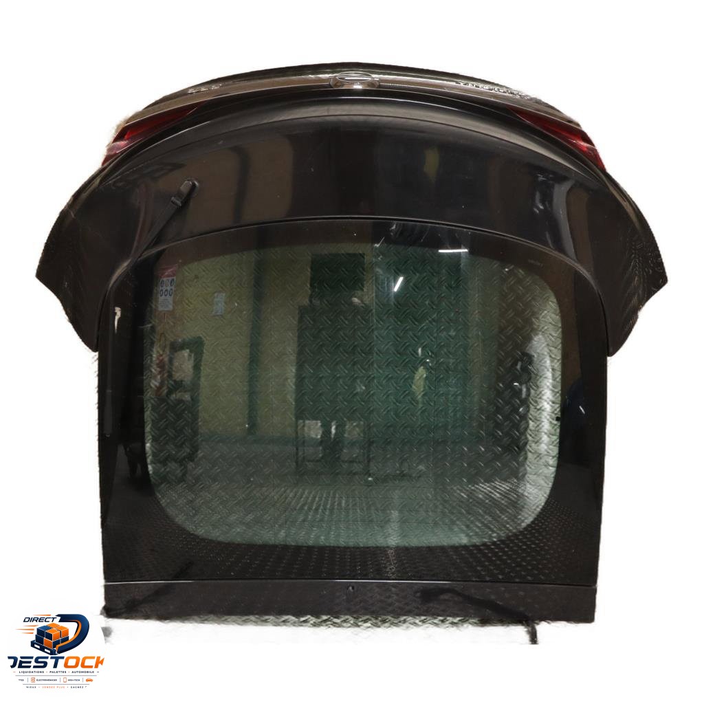 Hayon Opel INSIGNIA A (G09) 2.0 cdti (68) (2008-2017) occasion