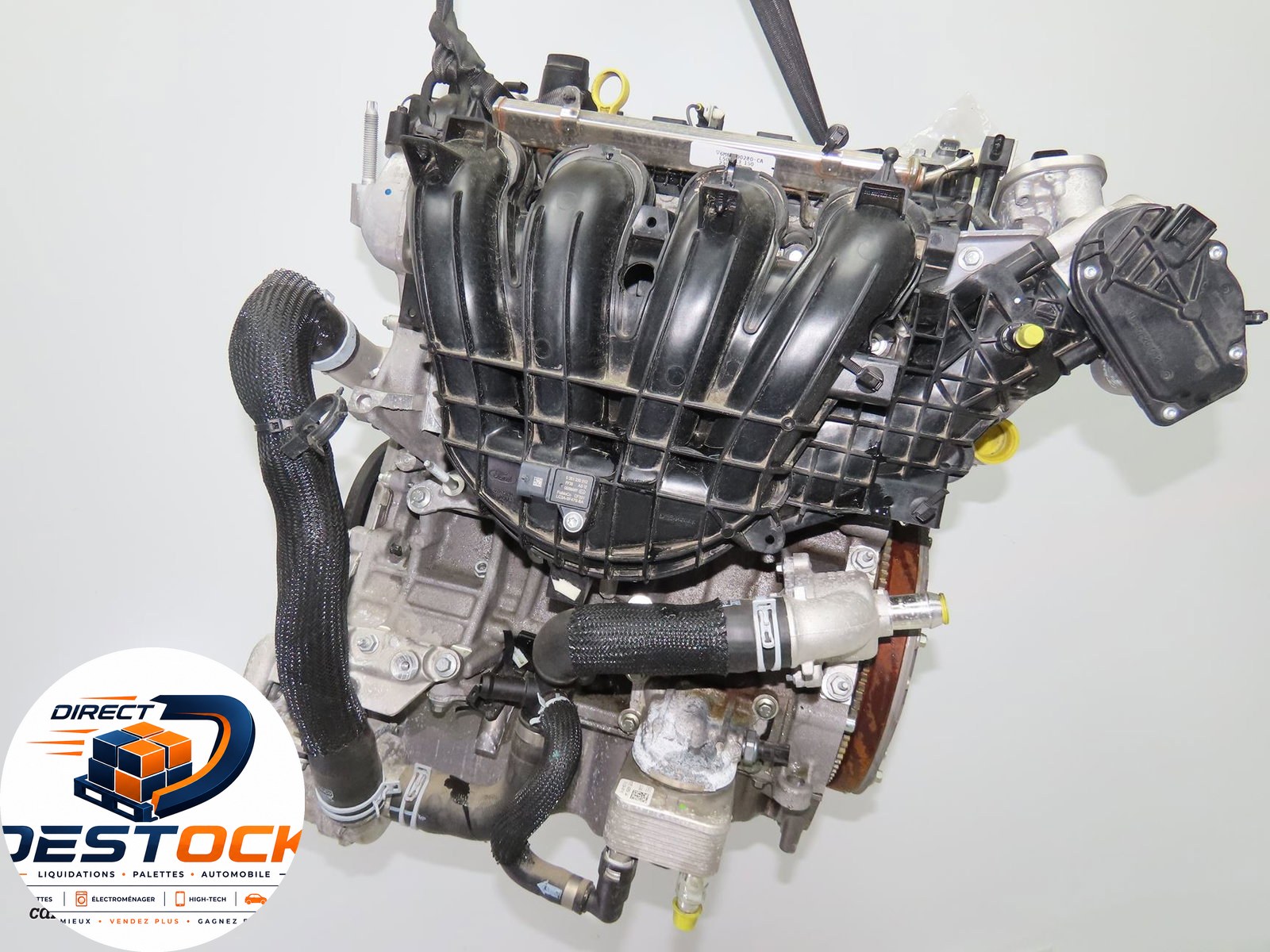 Moteur essence Ford KUGA III (DFK) 2.5 hybrid flex (2023) occasion