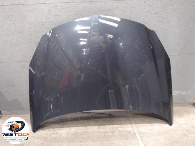 Capot Opel INSIGNIA A Sports Tourer (G09) 2.0 cdti (35) (2008-2015) occasion