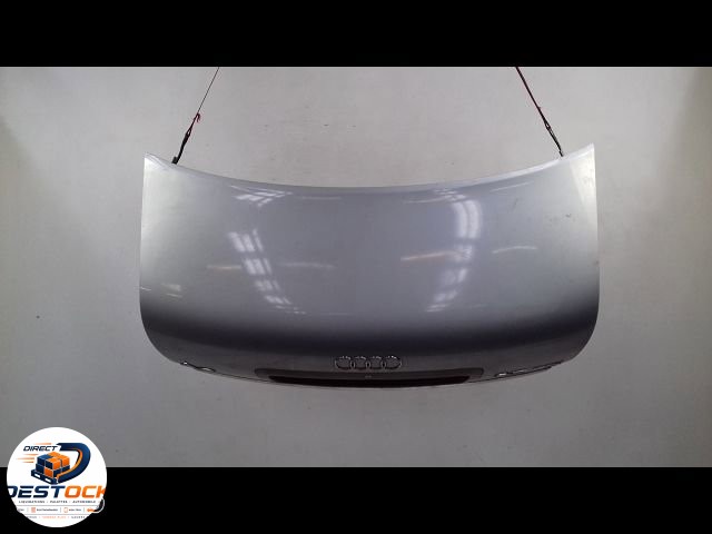 Coffre arrière Audi A6 C5 (4B2) 2.5 tdi (1997-2005) occasion