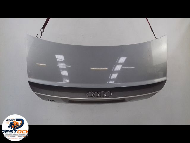 Coffre arrière Audi A6 C6 (4F2) 3.0 tdi quattro (2004-2006) occasion