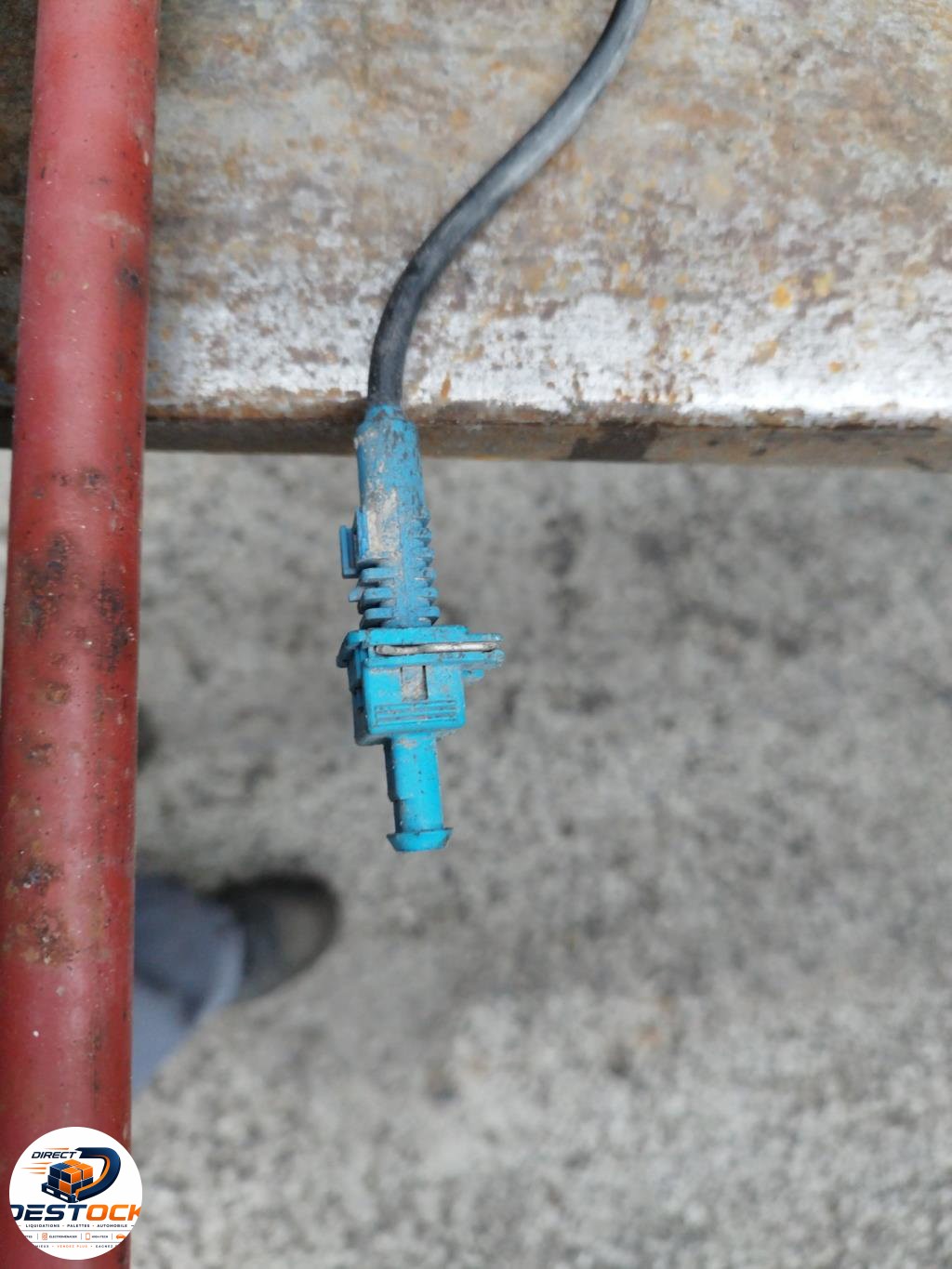 Photo 4
