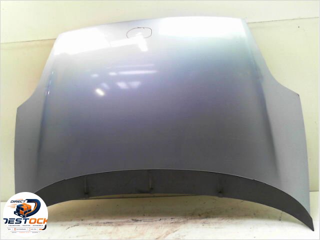 Capot Fiat GRANDE PUNTO (199_) 1.3 d multijet (2008) occasion