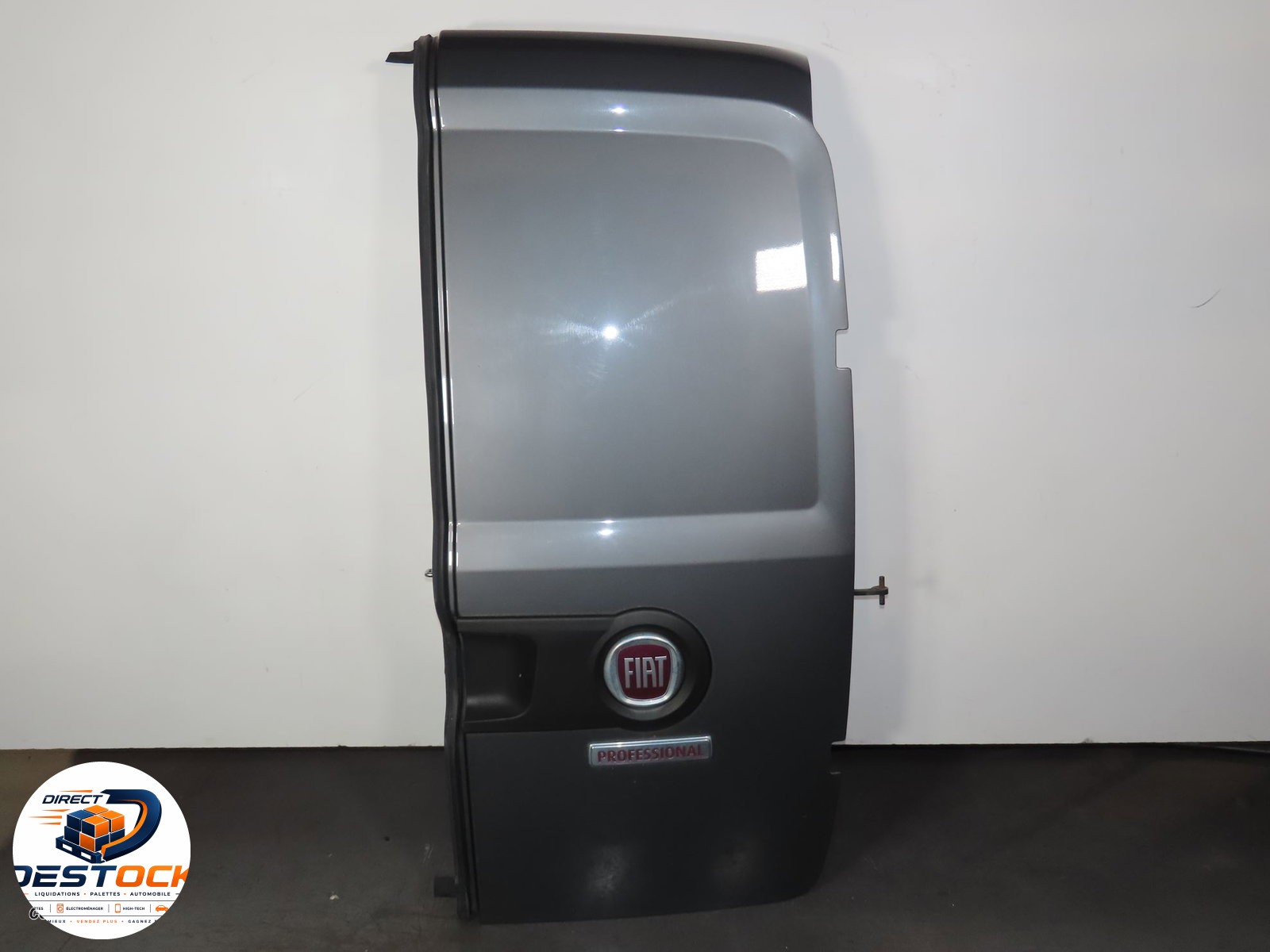 Porte battante arrière droite Fiat DOBLO Cargo (263_) 1.6 d multijet (2010) occasion