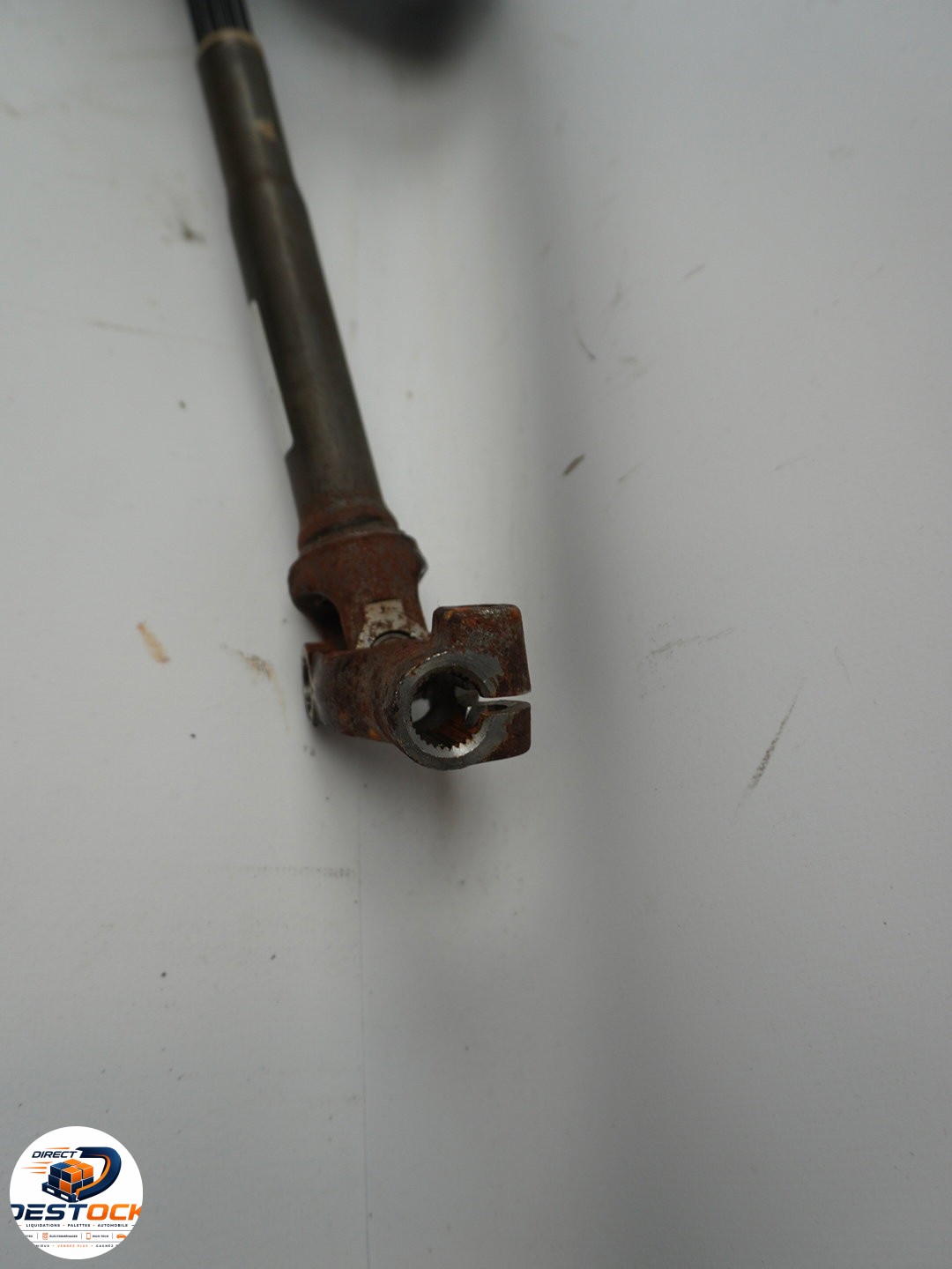 Photo 5