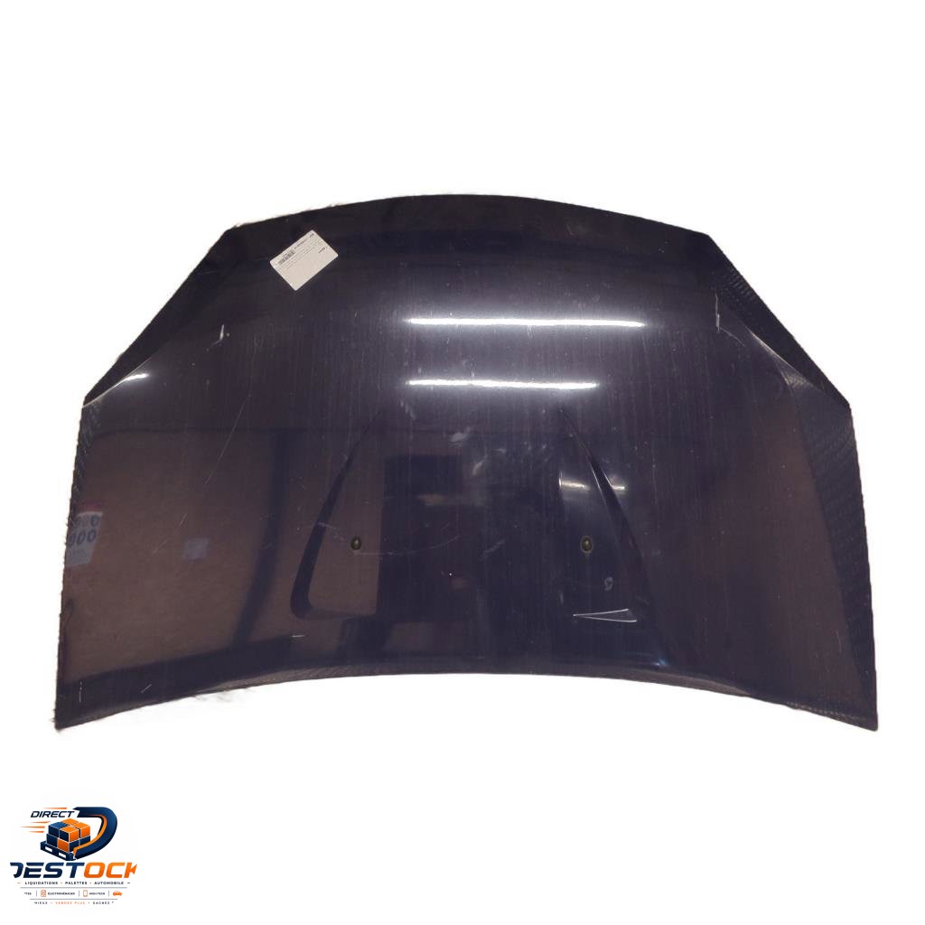 Capot Dacia SANDERO 1.4 mpi lpg (2009) occasion
