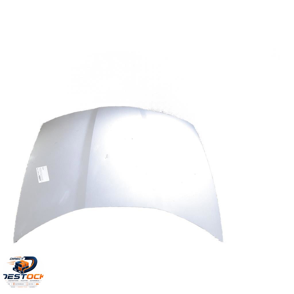 Capot Honda CIVIC VIII Hatchback (FN, FK) 2.2 ctdi (fk3) (2005) 5 portes occasion