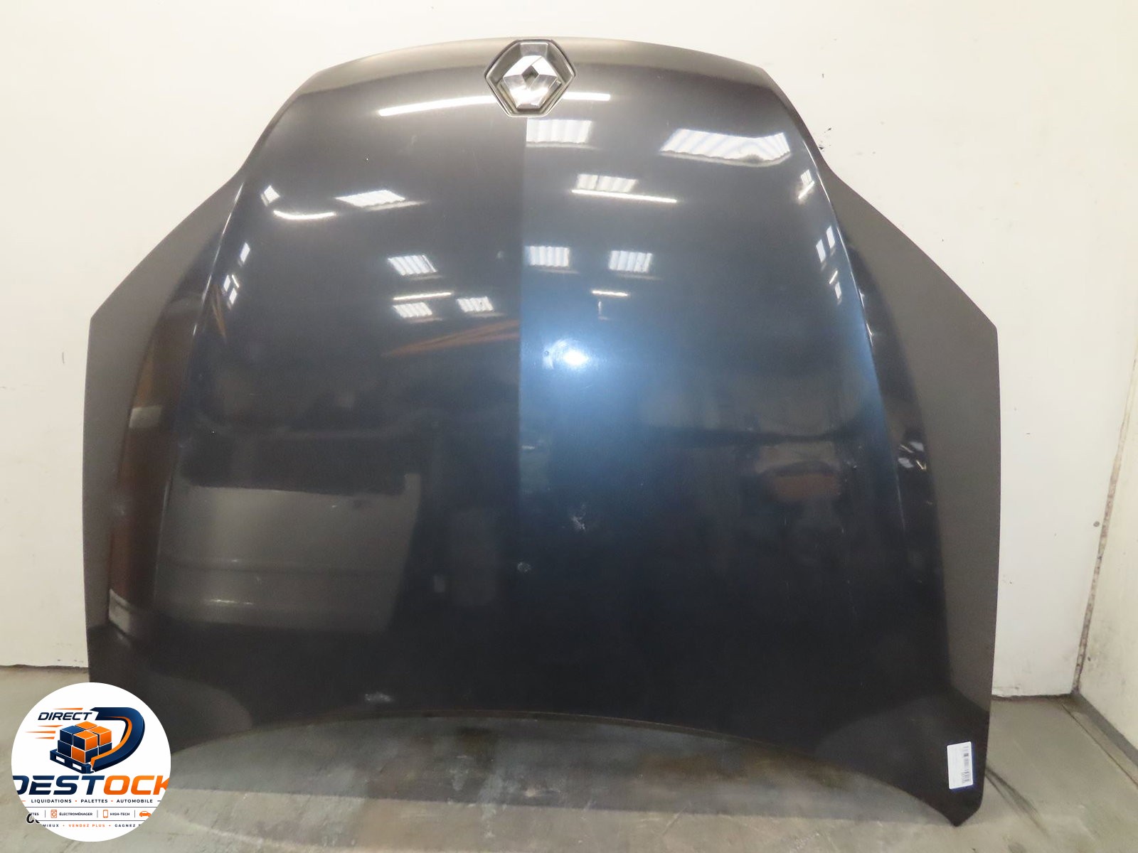 Capot Renault LAGUNA III Grandtour (KT0-1) 2.0 dci (kt07, kt0j, kt14, kt1a, kt1s) (2007-2015) occasion
