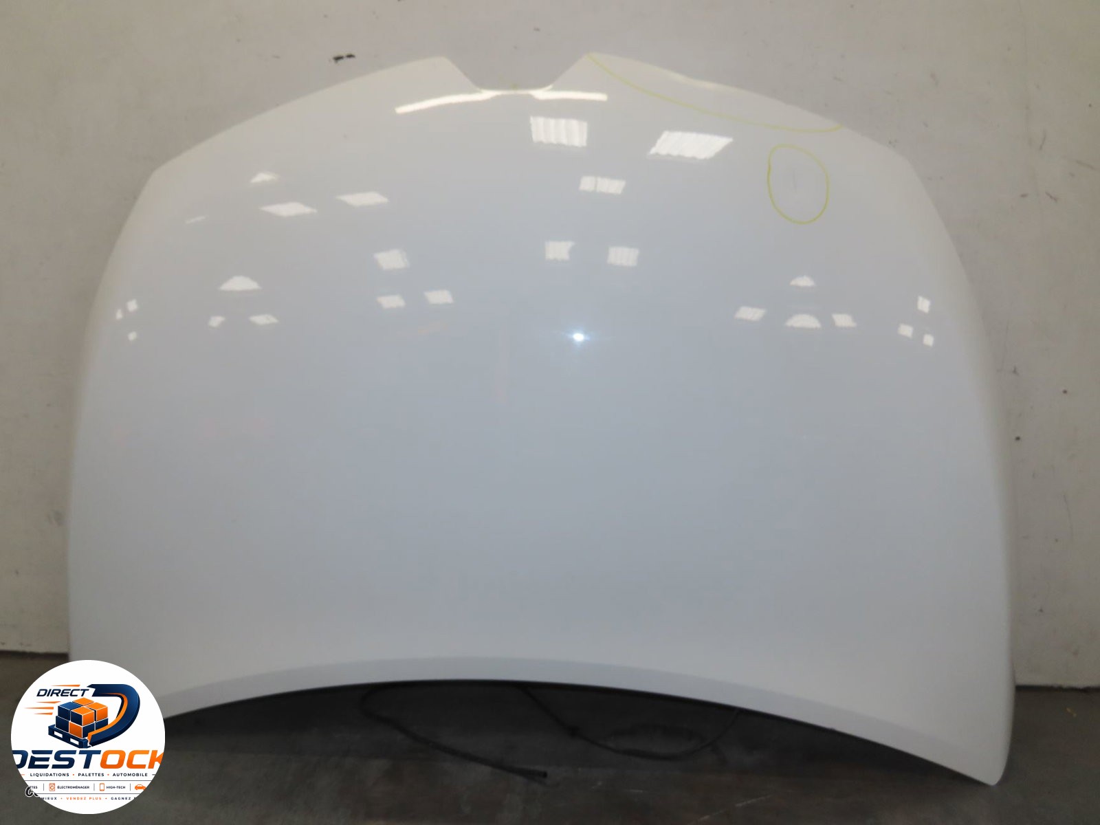 Capot Renault CLIO IV (BH_) 1.5 dci 90 (2012) 5 portes occasion