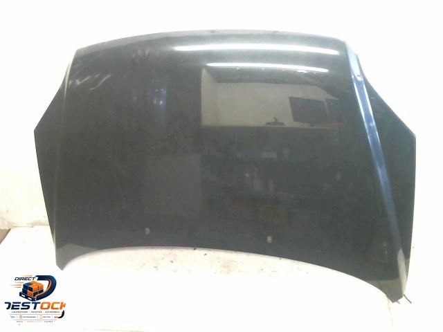 Capot Kia SPORTAGE II (JE_, KM) 2.0 crdi 4wd (2004) occasion