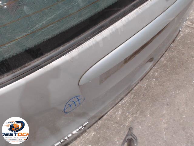 Hayon RENAULT SCENIC 1 PHASE 2 occasion