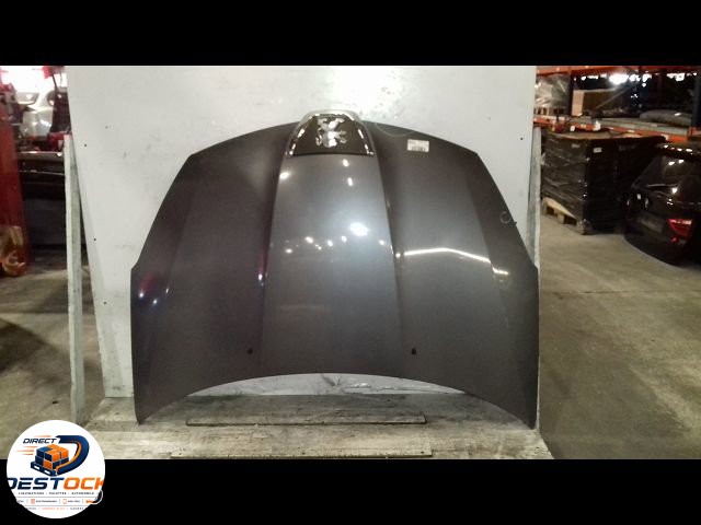 Capot Peugeot 4007 (VU_, VV_) 2.2 hdi (2007-2013) occasion