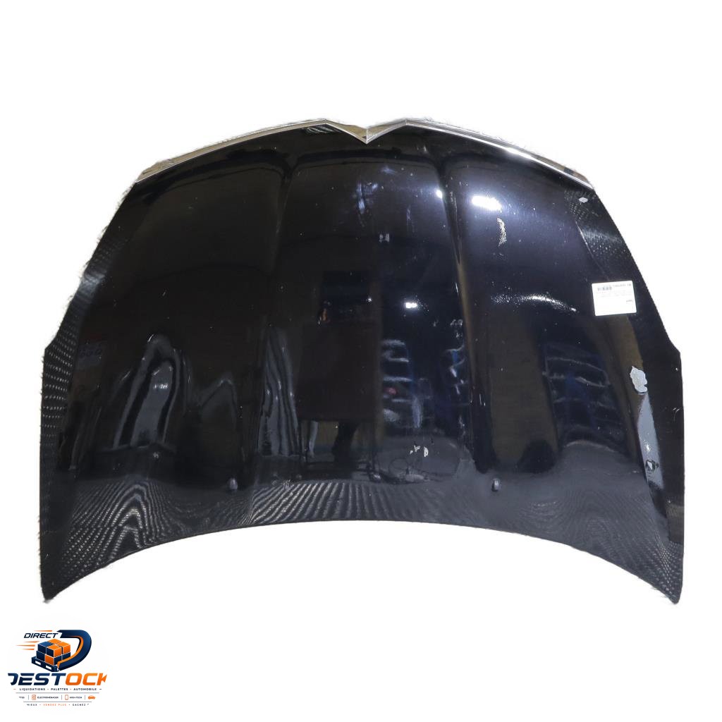 Capot Citroen C-CROSSER (VU_, VV_) 2.2 hdi (2007-2012) 5 portes occasion