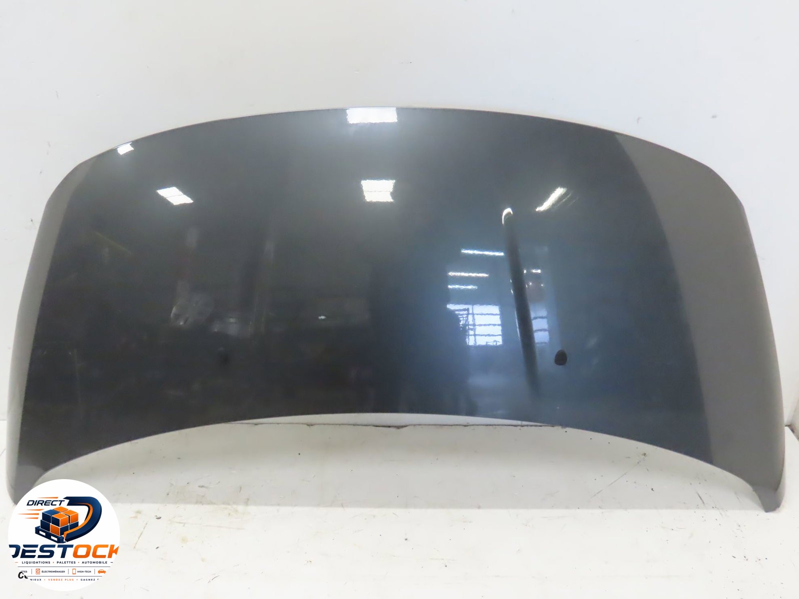 Capot Peugeot 3008 Monospace (0U_) 2.0 hdi (2009-2016) 5 portes occasion