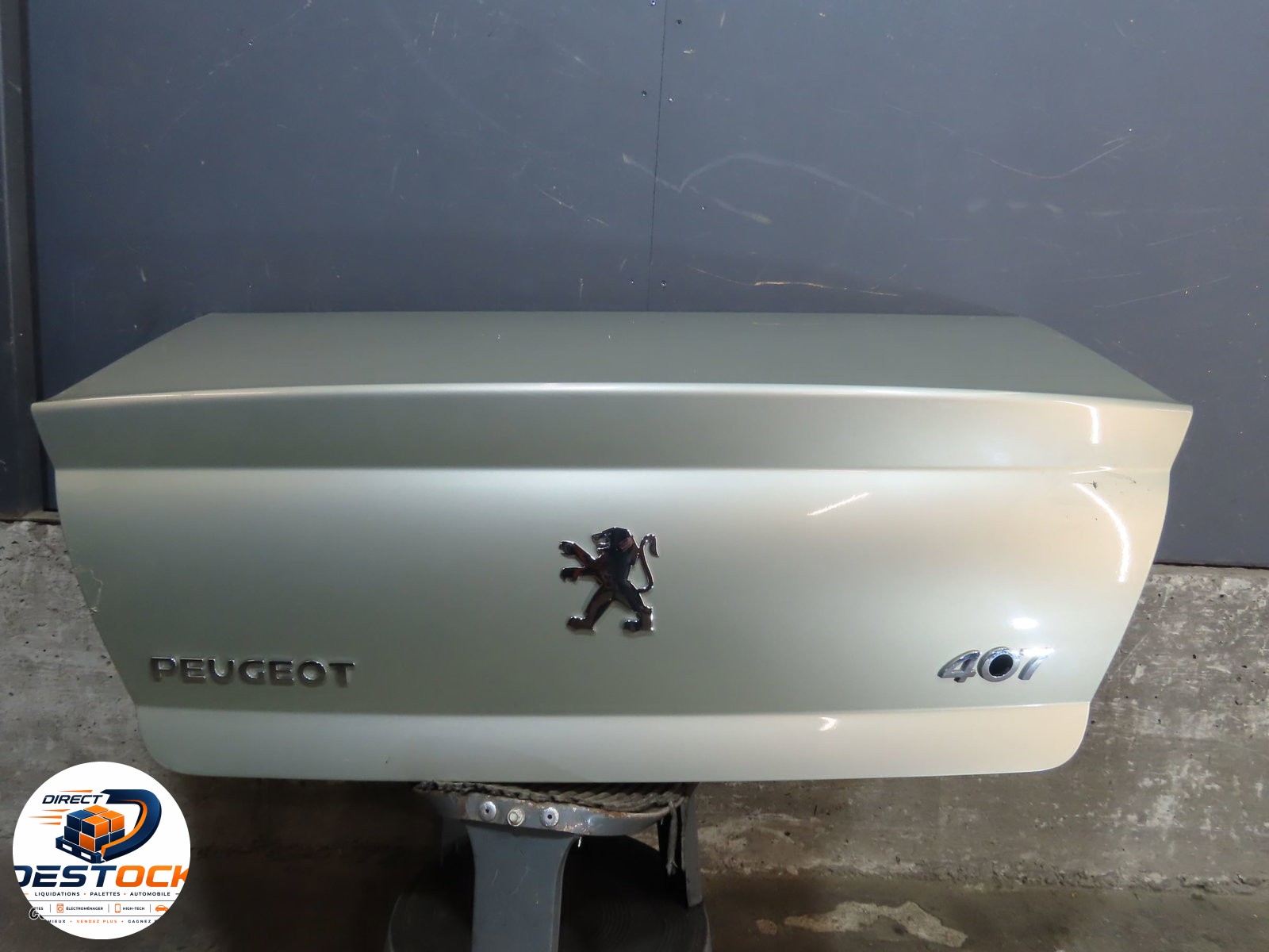 Coffre arrière Peugeot 407 (6D_) 2.0 hdi 135 (6drhrh, 6drhre, 6drhrg, 6drhrj) (2004-2010) 4 portes occasion