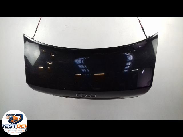 Coffre arrière Audi A4 B6 (8E2) 1.9 tdi (2000-2004) 4 portes occasion