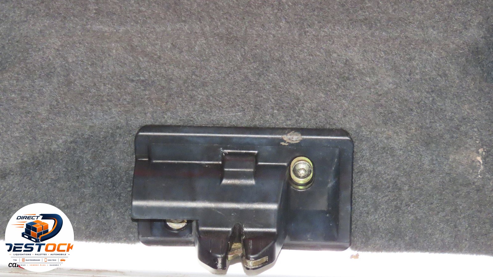 Photo 5