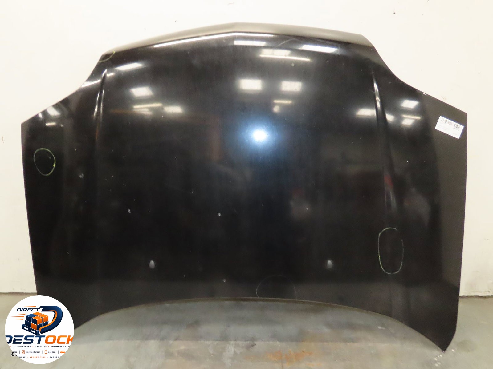 Capot Nissan X-TRAIL I (T30) 2.2 dci 4x4 (2001-2008) 5 portes occasion