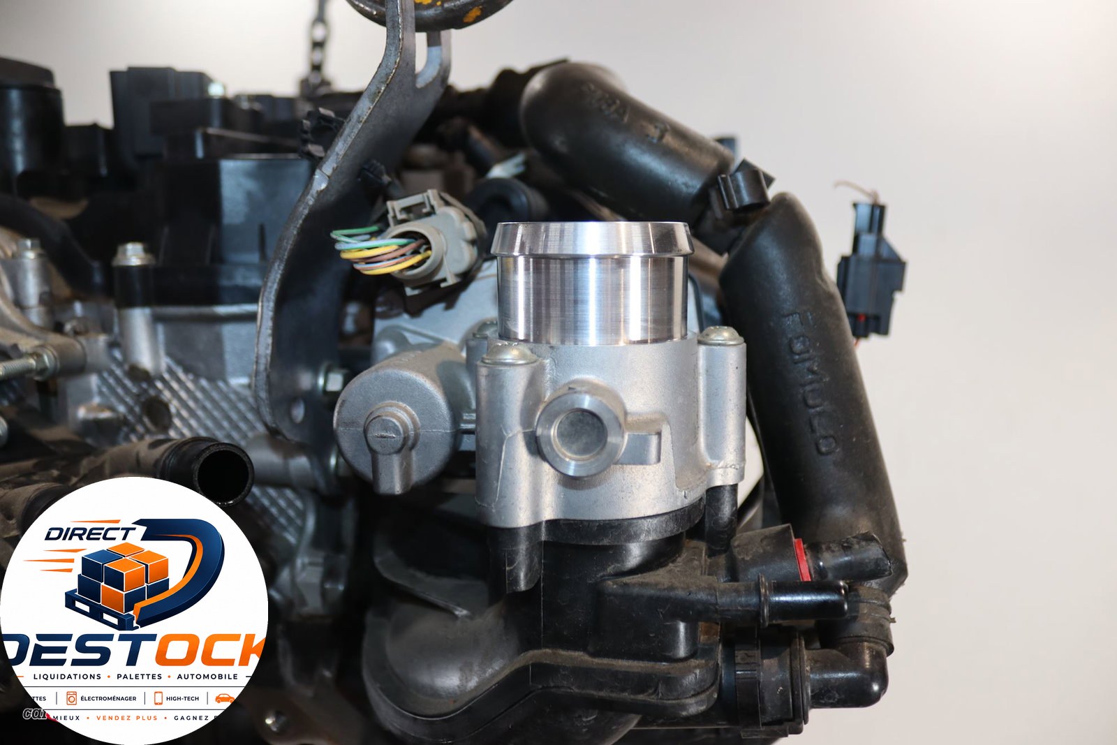 Photo 5