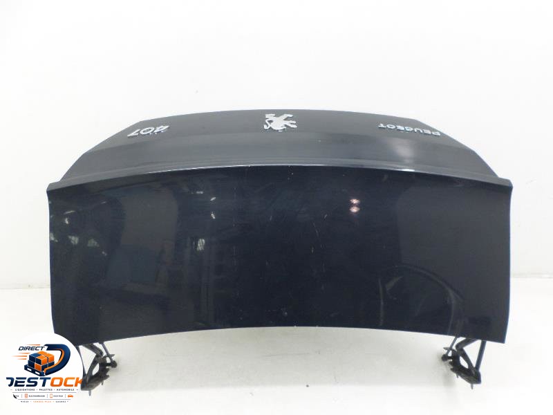 Coffre arrière PEUGEOT 407 occasion
